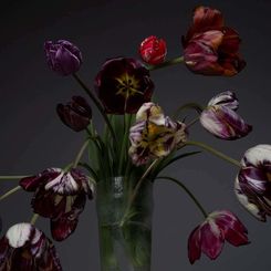 Péchés de vieillesse