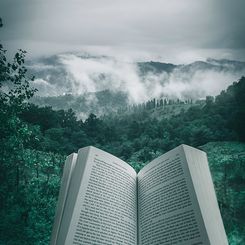 Wandelen en lezen